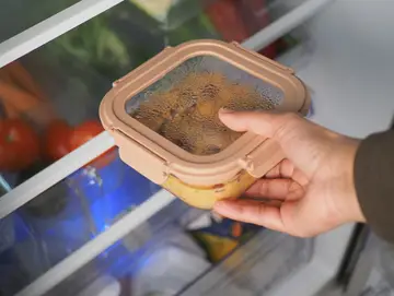 How to Store Leftovers Safely: A Complete Food Safety Guide
